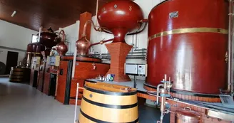 ABK6 Cognac ABK6 Cognac