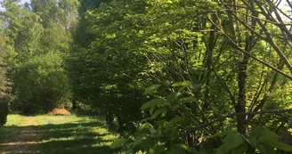 Gite du Parc