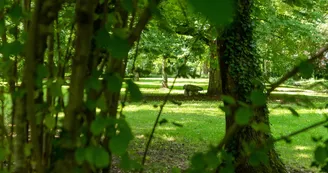 Le Parc