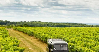 Bourgoin Cognac Bourgoin Cognac
