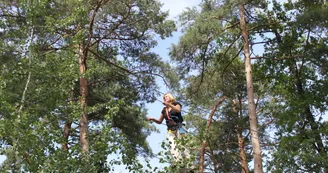 Accrobranche