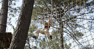 Accrobranche