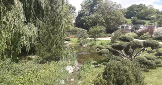 Les Jardins de la Fontaine à Mornac Les Jardins de la Fontaine à Mornac