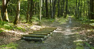 Parcours de santé Parcours de santé