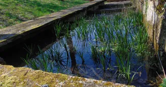Œuvre "La source, la voir, l'entendre" Œuvre "La source, la voir, l'entendre"