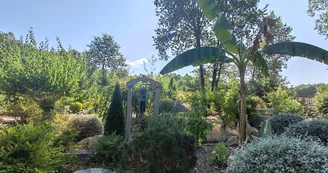 Jardin Parfums d'Asie